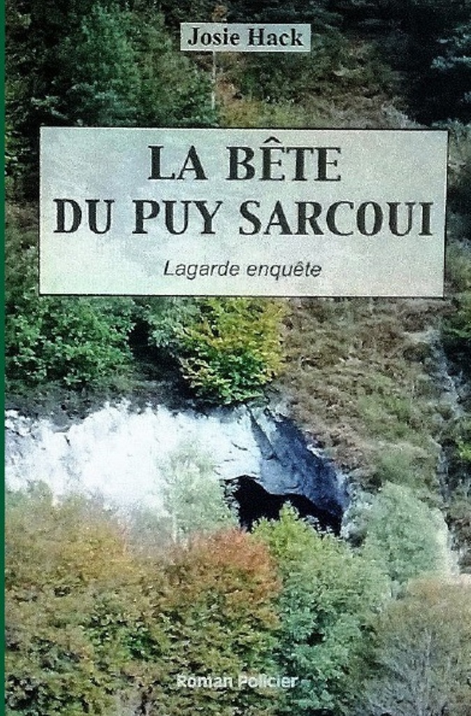 Bookcoverpreview copie