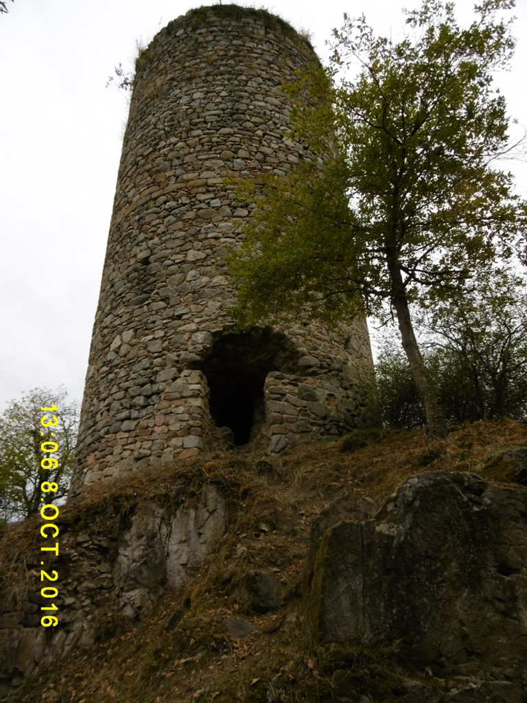 P1000220
