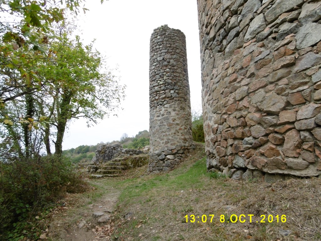P1000222