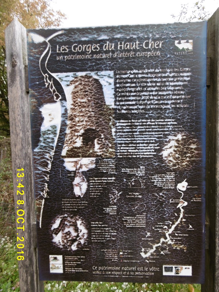 P1000245