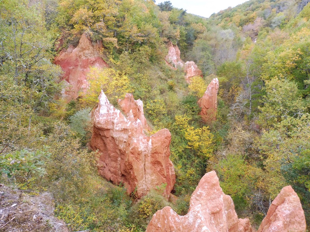 P1000577