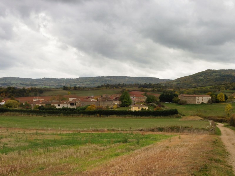 P1000608