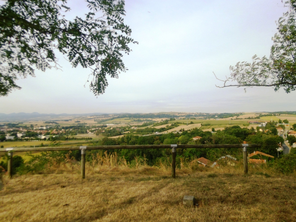 P1000684