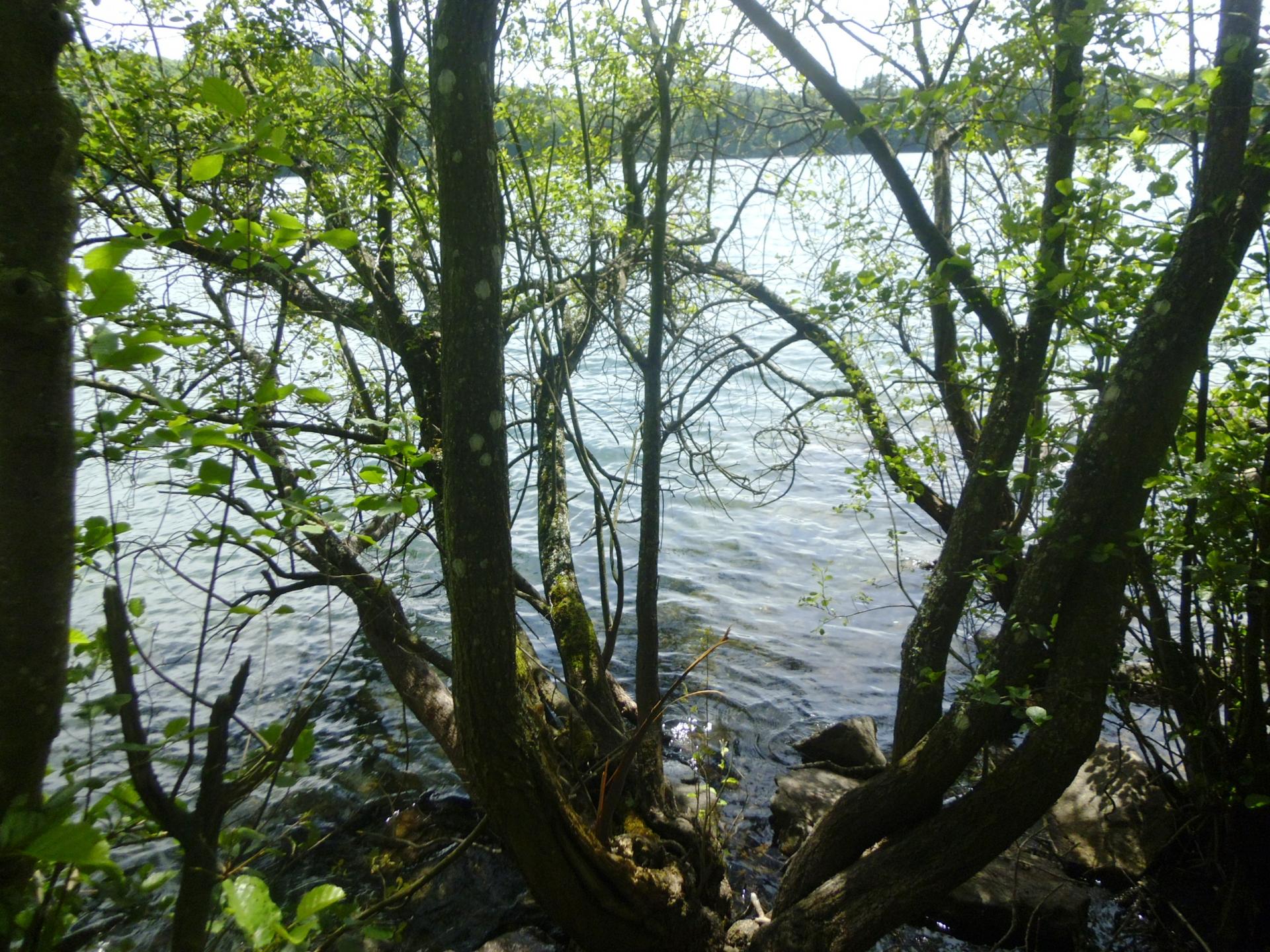 P1010843 1