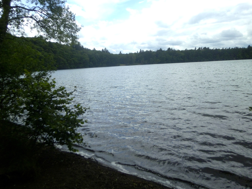P1010868