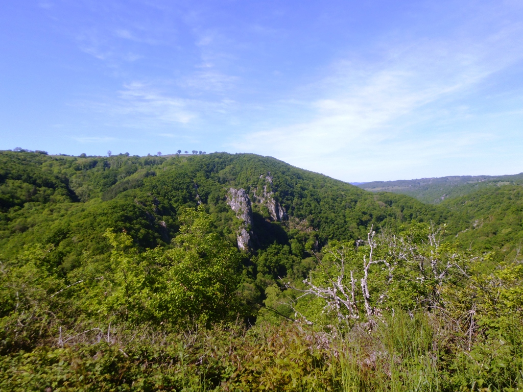 P1050675