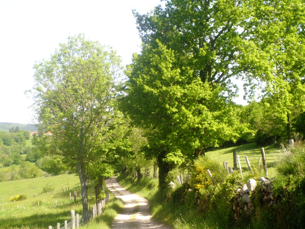 P1050683