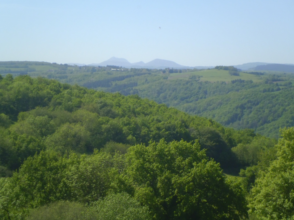 P1050690
