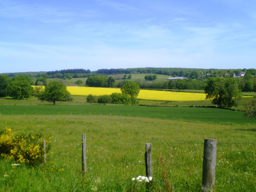 P1050691