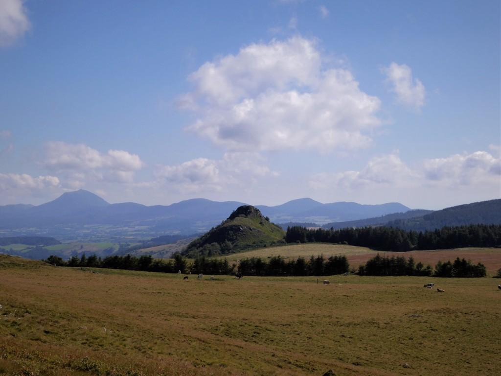 P1160786