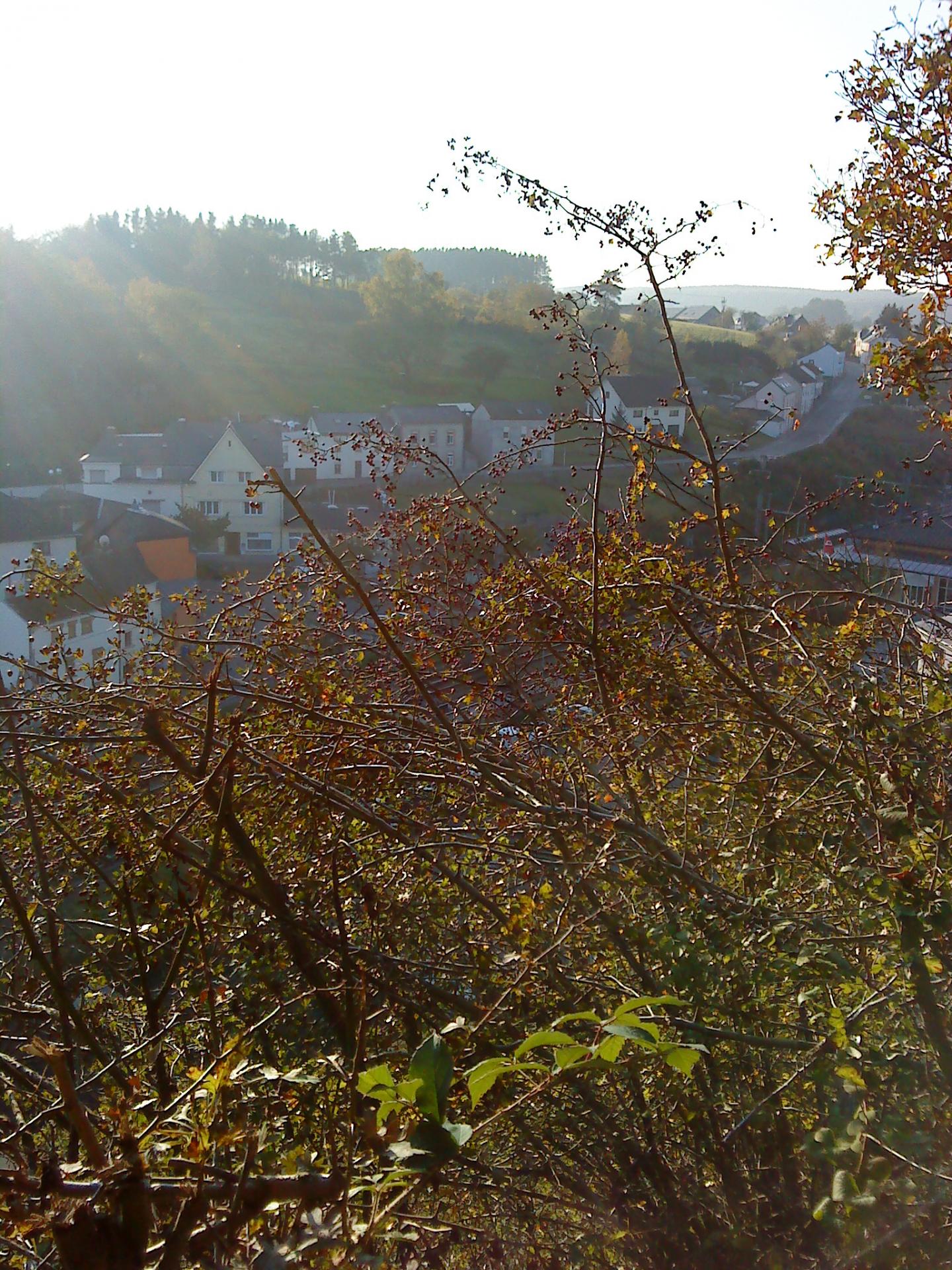 Troisvierges automne 2011 4